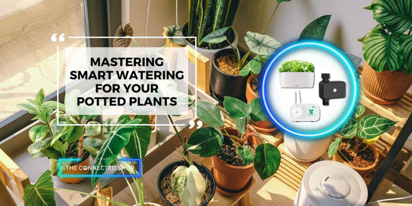 Effortless Gardening: Mastering Smart Watering for Your Potted Plants - The Connected Shop