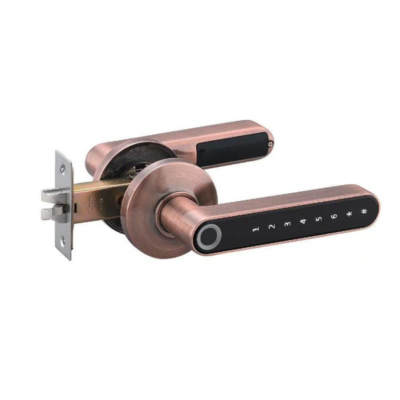 Fingerprint Smart Door Lock - Bronze - -