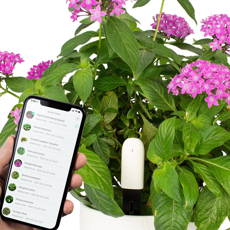 Plant & Flower Smart Sensors - 1 Piece - -