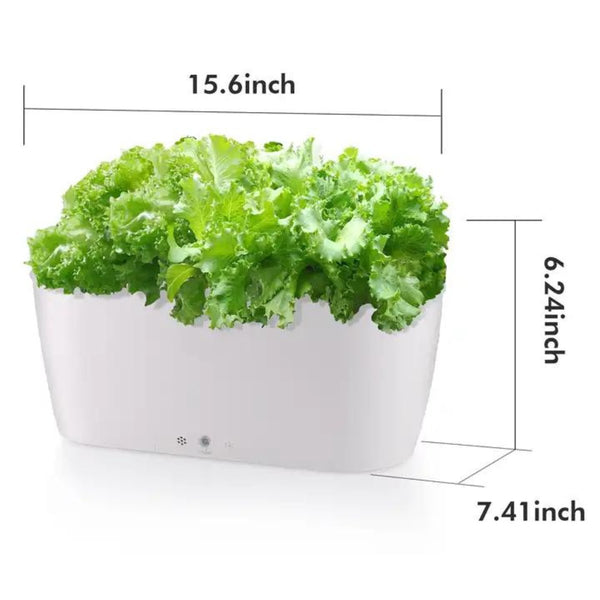 Self Watering Smart Planting Pot - -