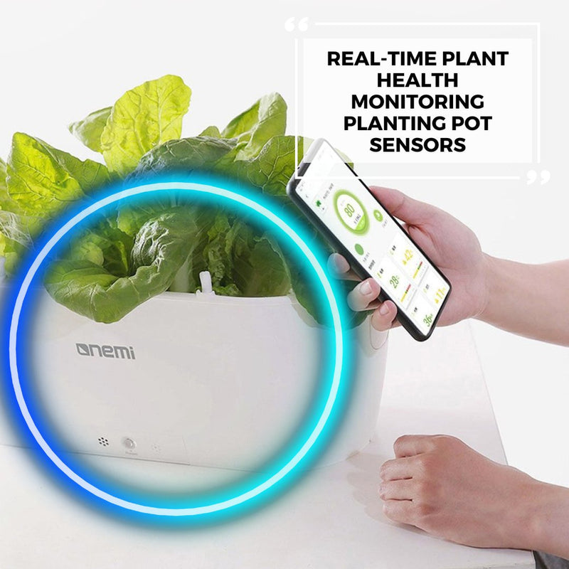 Self Watering Smart Planting Pot - -