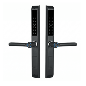 Smart Door Lock Duo